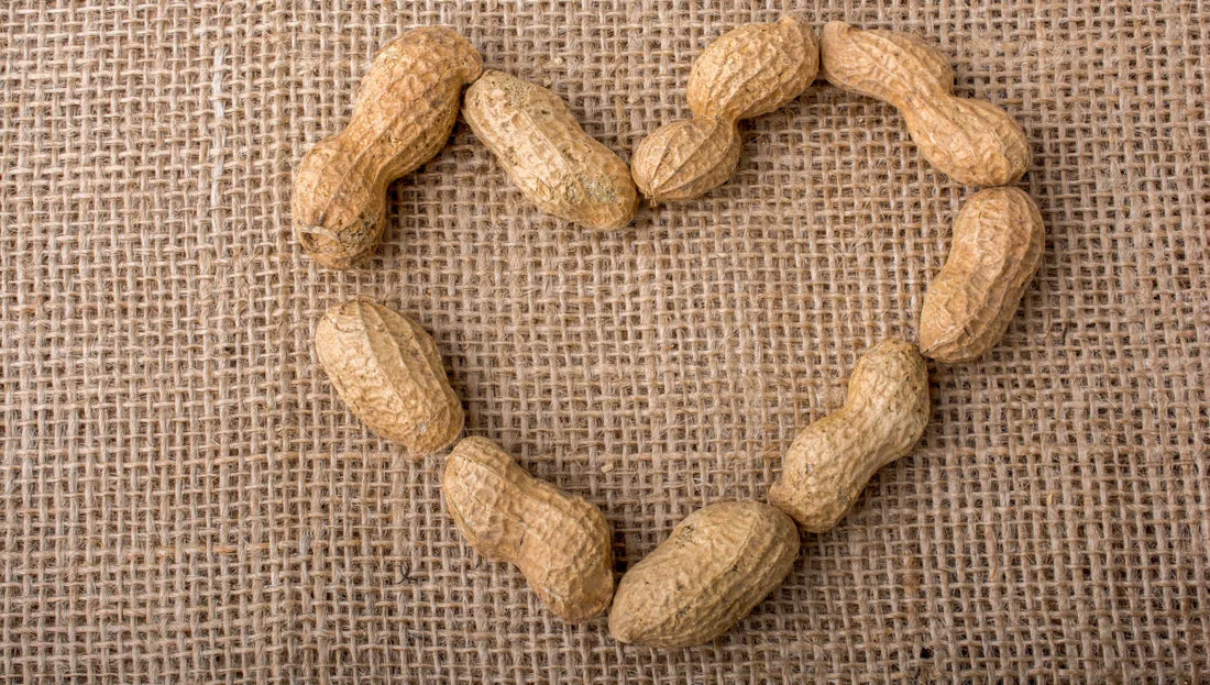 is peanut oil healthy