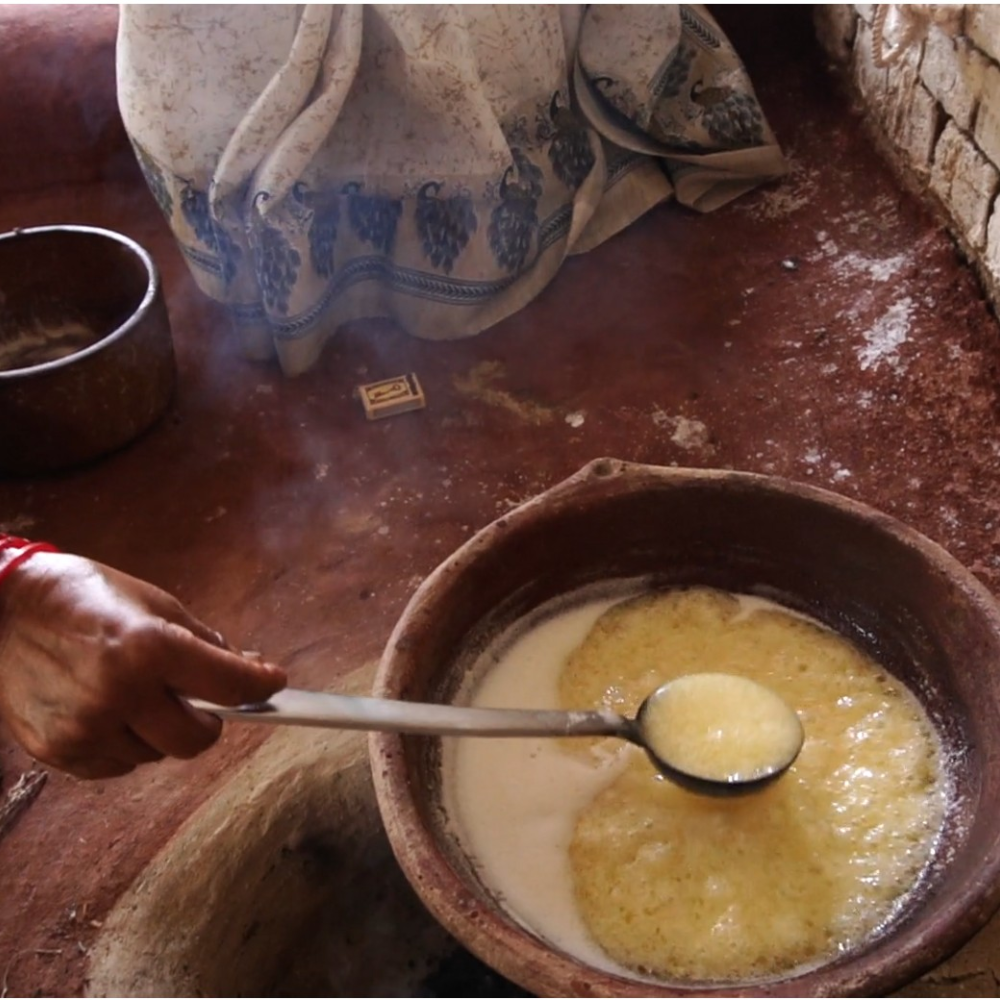 A2 Gir Cow Ghee | Bilona Churned | From Grass-Fed Desi Gir Cows | Made in VILLAGE (From Free Roaming Cows), Not Gaushala
