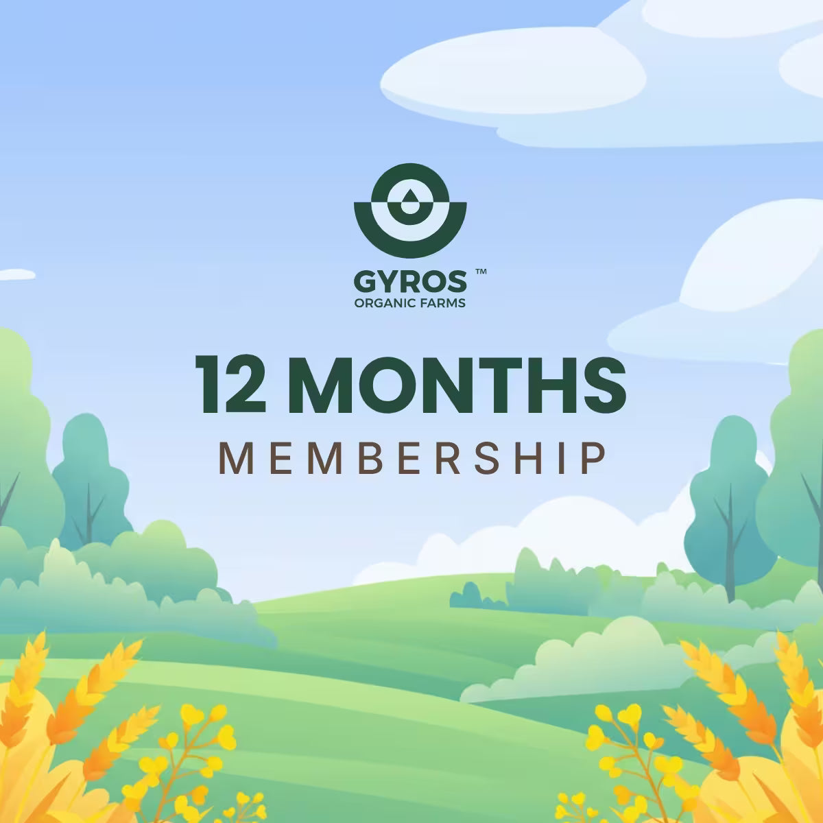 12 Month Plan