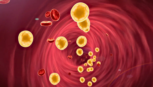 is ghee bad for cholesterol