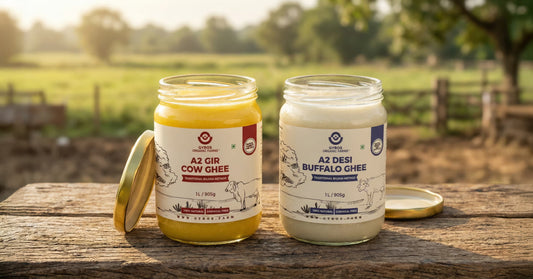 Cow Ghee vs Buffalo Ghee: Which One is Better for You?