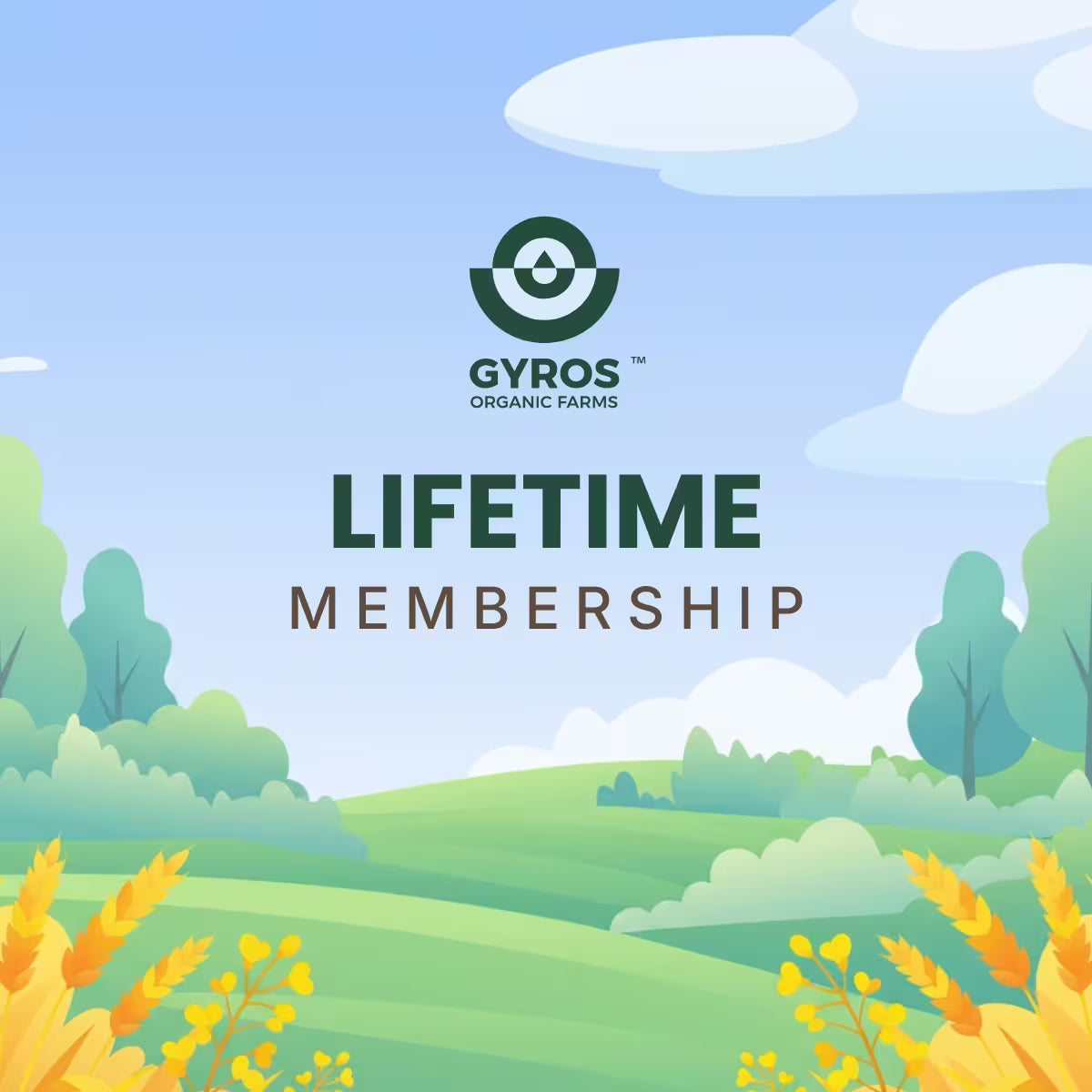 Lifetime Plan