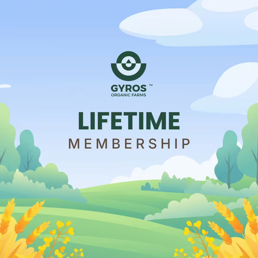 Lifetime Plan