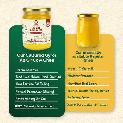 A2 Gir Cow Ghee | Bilona Churned | From Grass-Fed Desi Gir Cows | Made in VILLAGE (From Free Roaming Cows), Not Gaushala