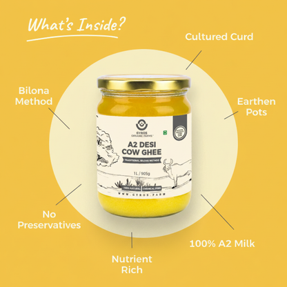A2 Desi Cow Ghee | Bilona Churned | From Grass-Fed Desi Cows | Made in VILLAGE (From Free Roaming Cows), Not Gaushala