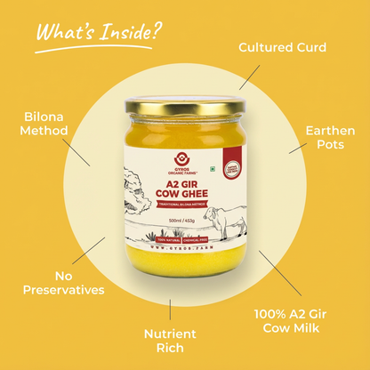 A2 Gir Cow Ghee | Bilona Churned | From Grass-Fed Desi Gir Cows | Made in VILLAGE (From Free Roaming Cows), Not Gaushala