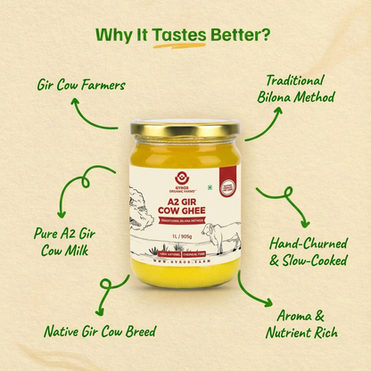 A2 Gir Cow Ghee | Bilona Churned | From Grass-Fed Desi Gir Cows | Made in VILLAGE (From Free Roaming Cows), Not Gaushala