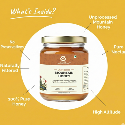 Gyros Mountain Honey – Wild, Raw, Unheated & Harvested from High-Altitude Forests