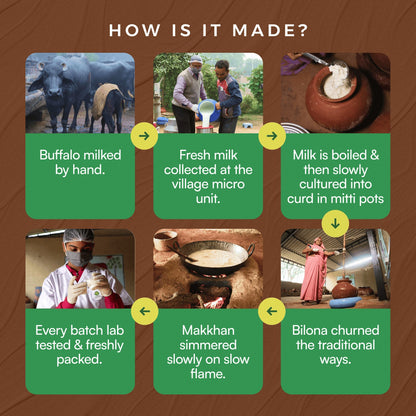 Gyros buffalo ghee traditional bilona process showing hand milking, curd setting, churning, and slow cooking.