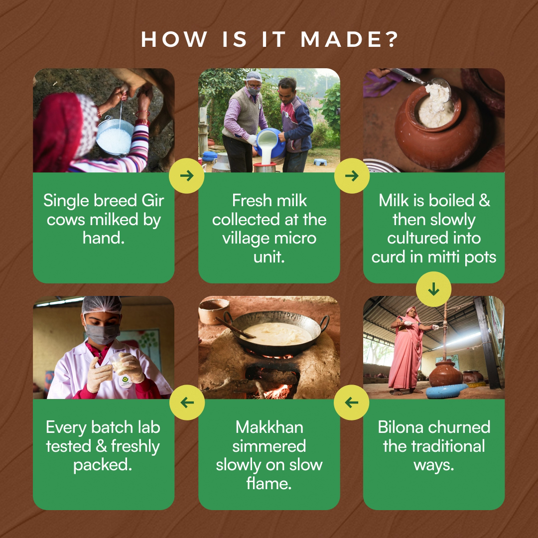 Step-by-step process of making A2 Gir cow ghee using traditional bilona method
