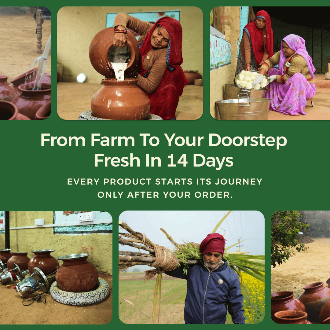 Gyros buffalo ghee farm-to-home journey visual showing traditional production and delivery within 14 days.