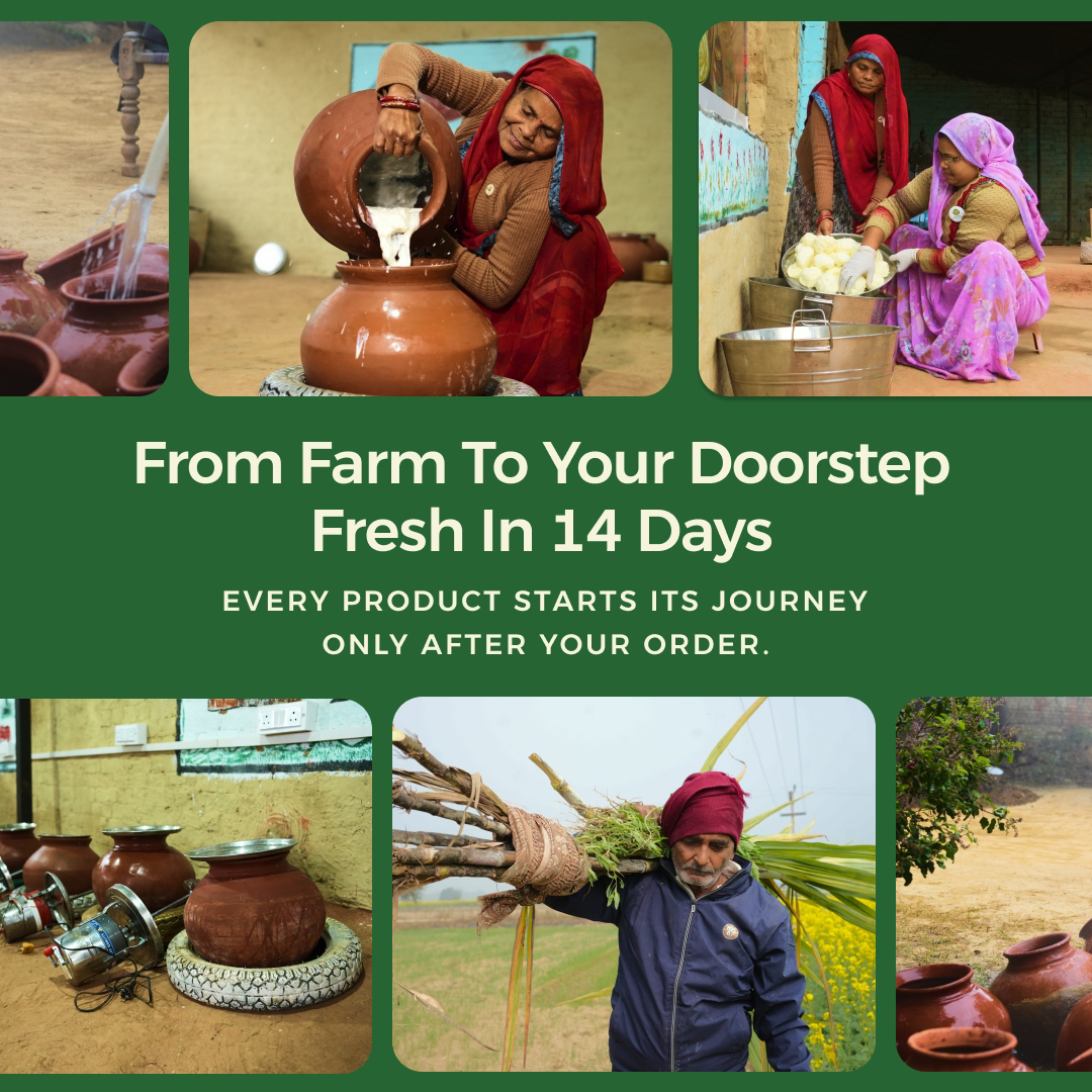 Gyros A2 Sahiwal cow ghee farm-to-home journey showing village production and fresh delivery within 14 days.